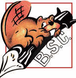 BSC